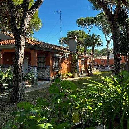 Chalet Los Pinos Con Piscina Privada Novo Sancti Petri Kültér fotó