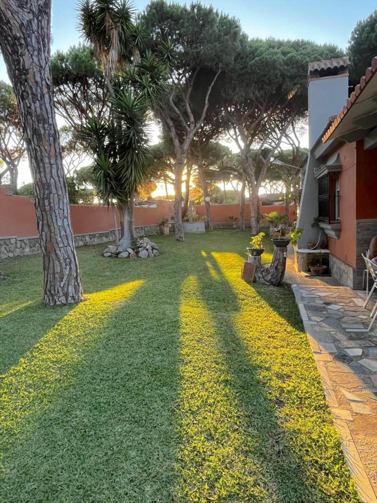 Chalet Los Pinos Con Piscina Privada Novo Sancti Petri Kültér fotó